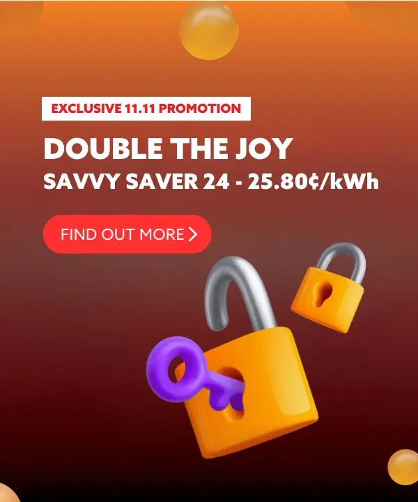 EXCLUSIVE 24 MONTH PLAN